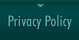 Privacy Policy